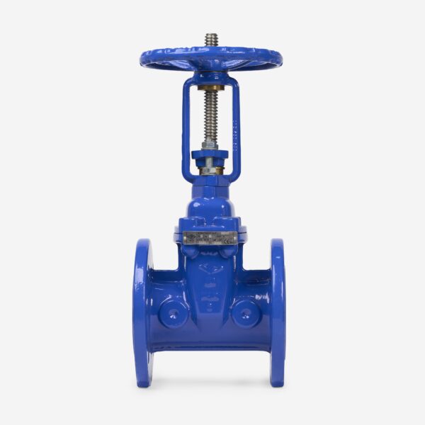 OS&Y GATE VALVE XZ41X