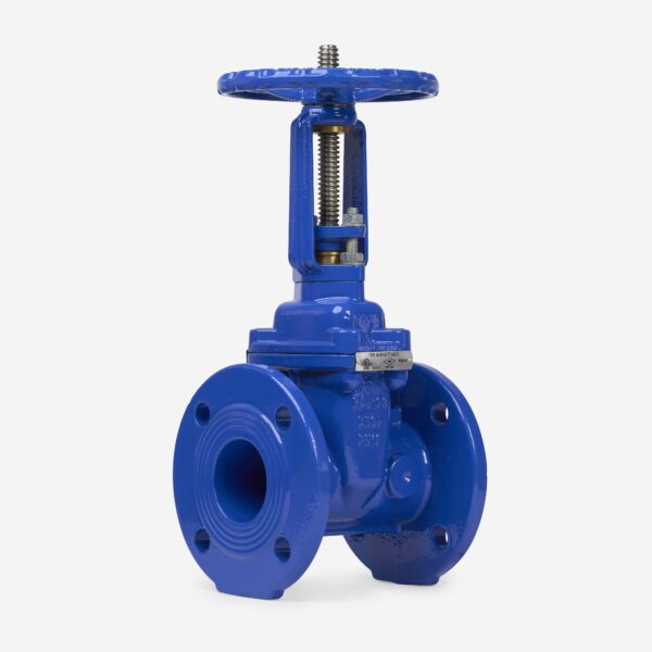 OS&Y GATE VALVE XZ41X - Image 2