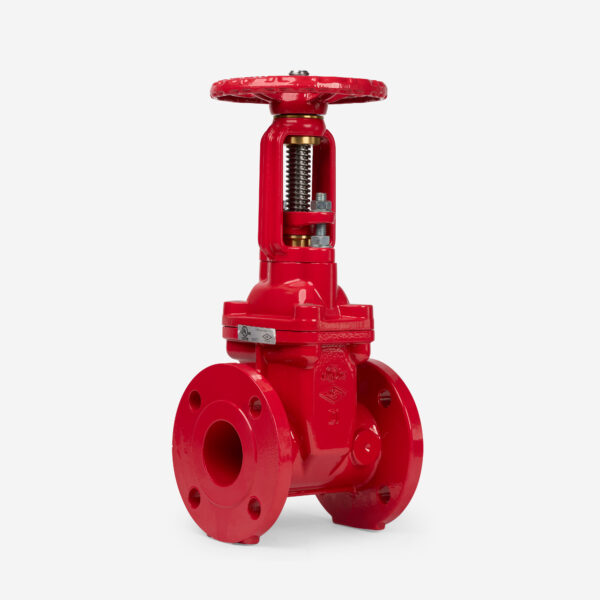 OS&Y GATE VALVE - Image 3